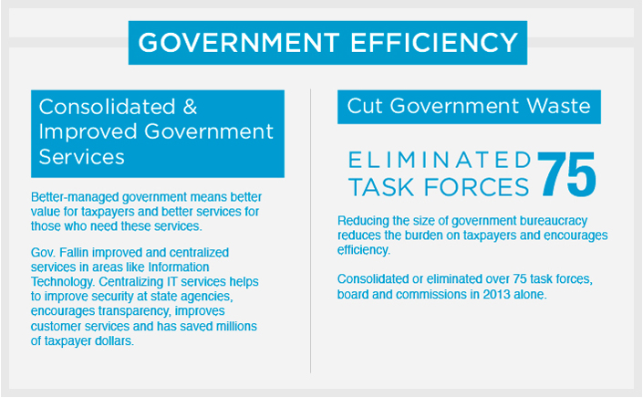 Government Efficiency
